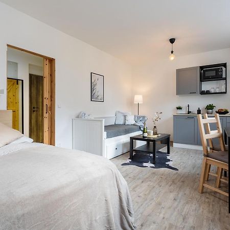 Vlevo Dole Koko Apartment By Sprava Ubytka Rokytnice nad Jizerou Dış mekan fotoğraf